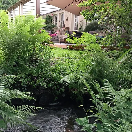 Du Ruisseau Avec Et Peche