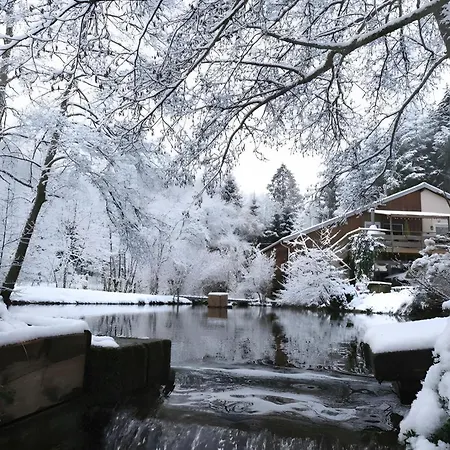 펜션 Du Ruisseau Avec Et Peche 에피날